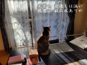 元旦の 日差しは温い 我思ふ 故に我ありや